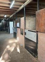 Te huur 3 paardenstallen met weidegang, binnen- en buitenbak, Dieren en Toebehoren, Stalling en Weidegang, Weidegang, 2 of 3 paarden of pony's