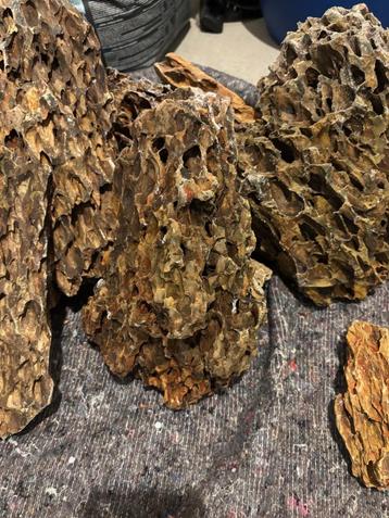 dragon stone 50 kilo maat S M L XXL beschikbaar voor biedingen