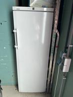Lieberr Vriezer - Geschikt voor Schuur, Witgoed en Apparatuur, Koelkasten en IJskasten, Ophalen, Gebruikt, 200 liter of meer, 60 cm of meer