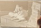 Lithophane foto, 1980 tot heden, Foto, Nieuw, Ophalen of Verzenden