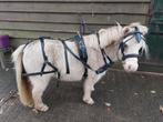 Mentuig minishet, Dieren en Toebehoren, Paarden en Pony's | Hoofdstellen en Tuigage, Ophalen of Verzenden, Overige soorten