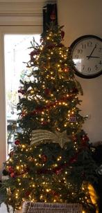 Mooie grote (bedrijfs) kerstboom!, Ophalen, Zo goed als nieuw