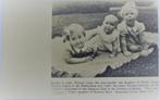 ansichtkaart koninklijk huis nr. 1, Ophalen of Verzenden, Zo goed als nieuw, Nederland, Kaart, Foto of Prent