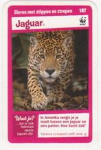 Super dieren no.187 Jaguar [2796]  [VeOvSu], Albert Heijn, Ophalen of Verzenden