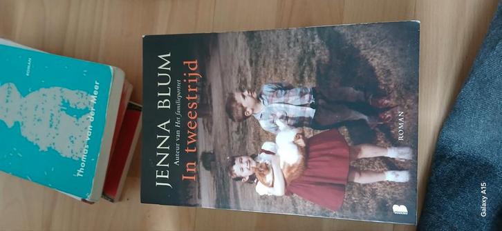 Boek: Jenna Blum - In tweestrijd, Boeken, Literatuur, Gelezen, Ophalen of Verzenden