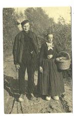 V22 Veluwe met mandje naar de markt, Ophalen of Verzenden, Ongelopen, Gelderland