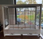 Ferplast vogelkooi, Dieren en Toebehoren, Knaagdieren en Konijnen | Hokken en Kooien, Kooi, Gebruikt, Minder dan 75 cm, Ophalen