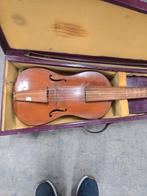 Antieke viola da gamba met Koffer, Muziek en Instrumenten, Snaarinstrumenten | Overige, Ophalen of Verzenden, Gebruikt