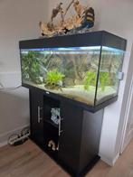 Jubel Aquarium incl toebehoren, Dieren en Toebehoren, Vissen | Aquaria en Toebehoren, Ophalen, Gebruikt, Gevuld zoetwateraquarium