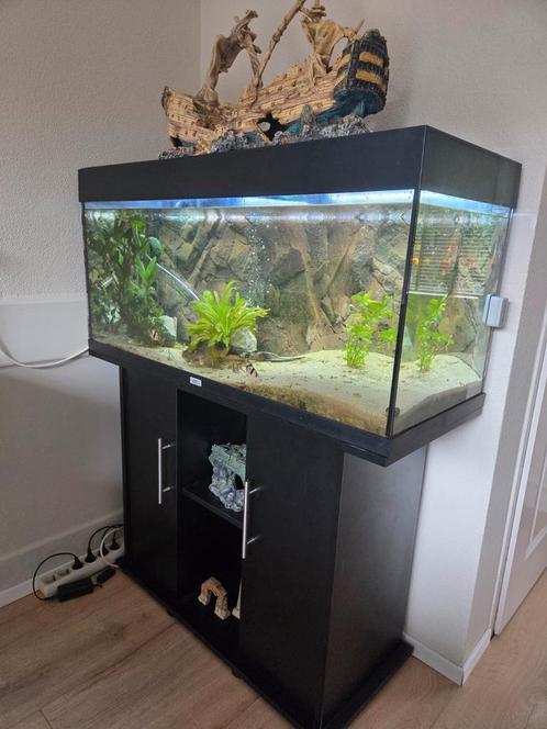 Jubel Aquarium incl toebehoren (zonder bewoners), Dieren en Toebehoren, Vissen | Aquaria en Toebehoren, Gebruikt, Gevuld zoetwateraquarium