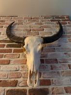 Waterbuffel Schedel - Wanddecoratie, Huis en Inrichting, Ophalen, Zo goed als nieuw