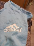 Adidog trui voor €3,50, Dieren en Toebehoren, Ophalen of Verzenden, Zo goed als nieuw, Hondentrui