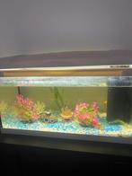 Mooie witte complete aquarium met 2 vissen!, Vis