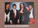 Poster Herman Brood en the Wild Romance Hitkrant 1979 41x54, Verzamelen, Gebruikt, Rechthoekig Liggend, Ophalen of Verzenden, A1 t/m A3