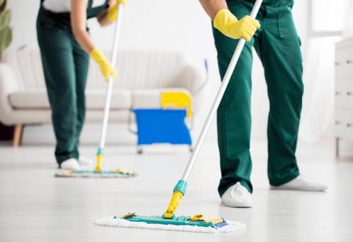 I look for work, Diensten en Vakmensen, Huishoudelijke hulp, Schoonmaken, Strijken