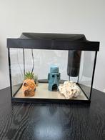 Complete aquariumset met accessoires (incl. SpongeBob decor), Ophalen of Verzenden, Zo goed als nieuw, Leeg aquarium