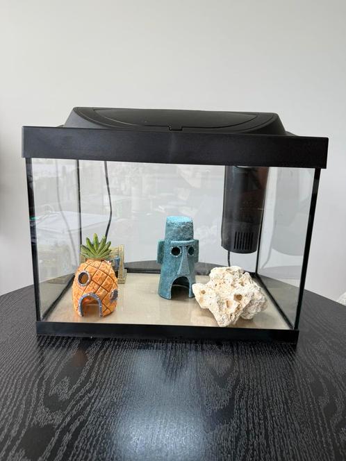 Complete aquariumset met accessoires (incl. SpongeBob decor), Dieren en Toebehoren, Vissen | Aquaria en Toebehoren, Zo goed als nieuw