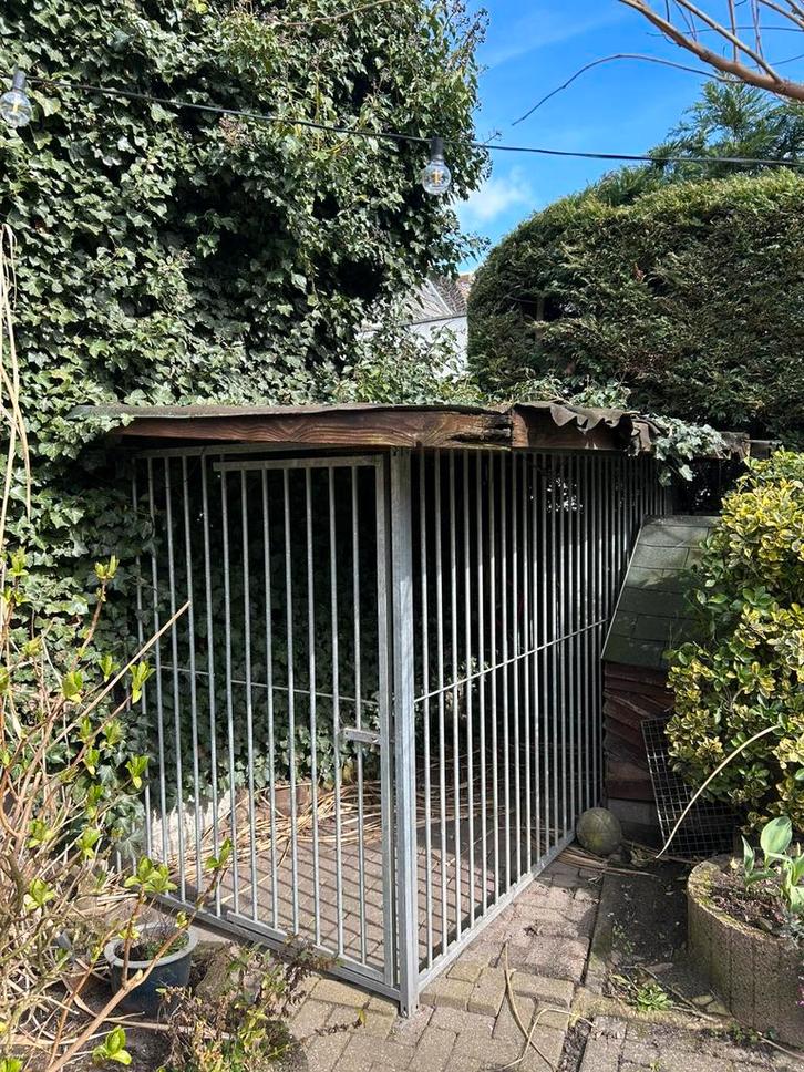 Hondenren- hondenhok, Dieren en Toebehoren, Hondenhokken, Gebruikt, Hondenhok, 100 cm of meer, 110 cm of meer, Ophalen