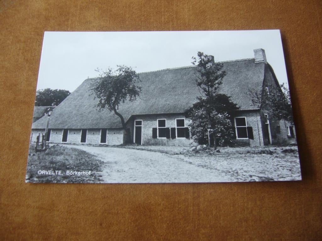 ORVELTE  =  BORKERHOF, Ophalen of Verzenden, 1940 tot 1960, Ongelopen