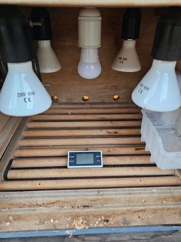 Broedmachine met veel extra s., Ophalen, Broedmachine