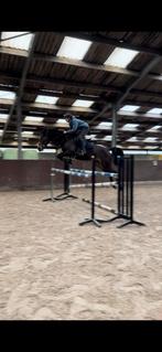 Springtrainer, Dieren en Toebehoren, Ophalen, Zo goed als nieuw, Overige soorten