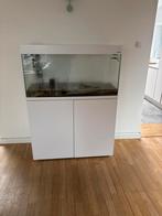 Aqual aquarium, Ophalen, Gebruikt, Leeg aquarium