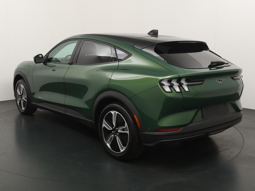 Ford Mustang Mach-E | *UNIEK* | RWD 75 kWh | Adapt. cruise |, Auto's, Automaat, Achterwielaandrijving, Leder, 470 km