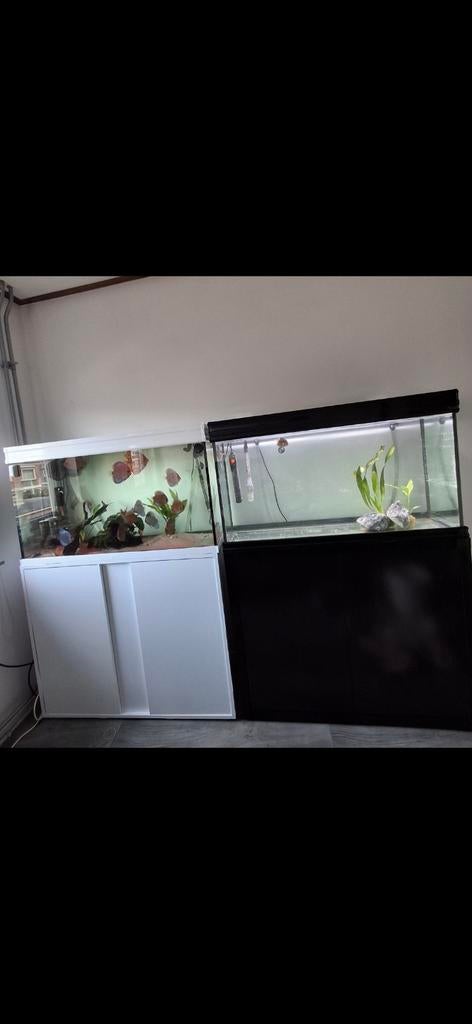 Aquarium 1 meter., Dieren en Toebehoren, Vissen | Aquaria en Toebehoren, Ophalen of Verzenden