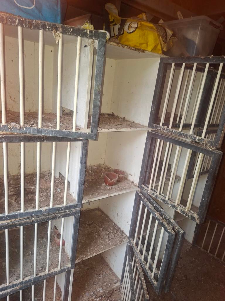 Duivenhokken, Dieren en Toebehoren, Vogels | Hokken en Kooien, Ophalen, Hout, Vogelkooi