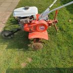 Tuinfrees, Tuin en Terras, Hand-tuingereedschap, Ophalen