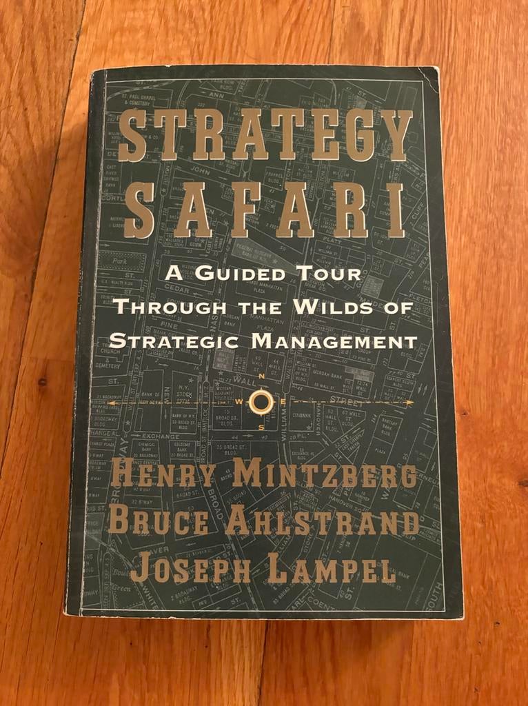 Strategy safari, Ophalen of Verzenden, Zo goed als nieuw