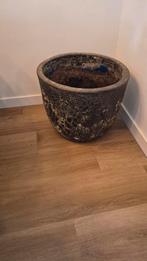 Stijlvolle bloempot voor binnen, zo goed als nieuw, Rond, Binnen, Zo goed als nieuw, Minder dan 40 cm