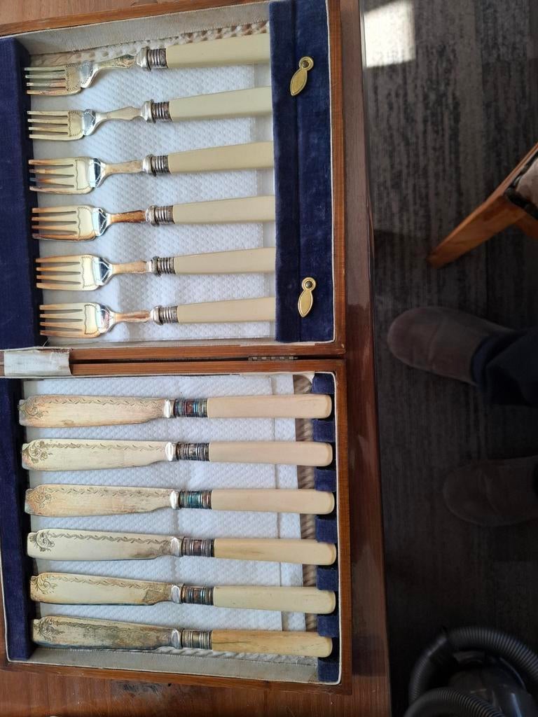 Vintage Bestekset voor visin Houten Kist - 12-delig, Antiek en Kunst, Ophalen