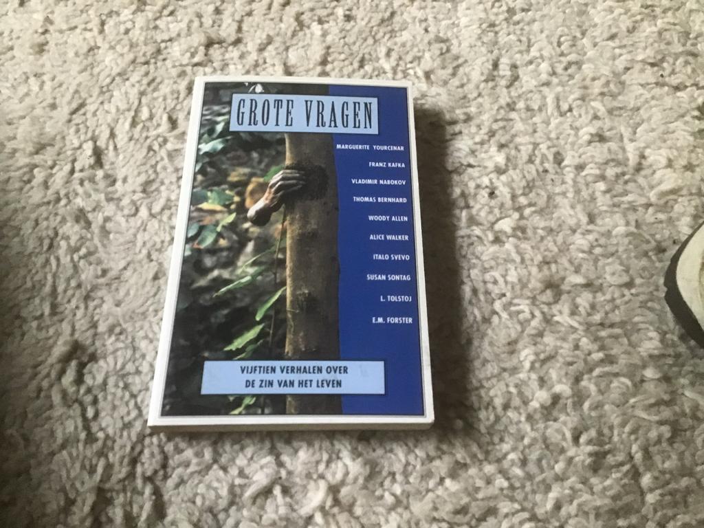 Grote Vragen: Vijftien Verhalen over de Zin van het Leven, Boeken, Ophalen of Verzenden, Gelezen