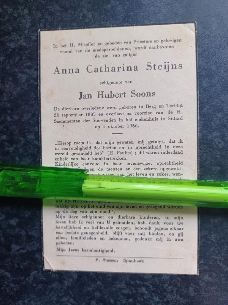 Bidprentje Berg en Terblijt Sittard Anna Steijns 1885 1956, Verzamelen, Ophalen, Bidprentje