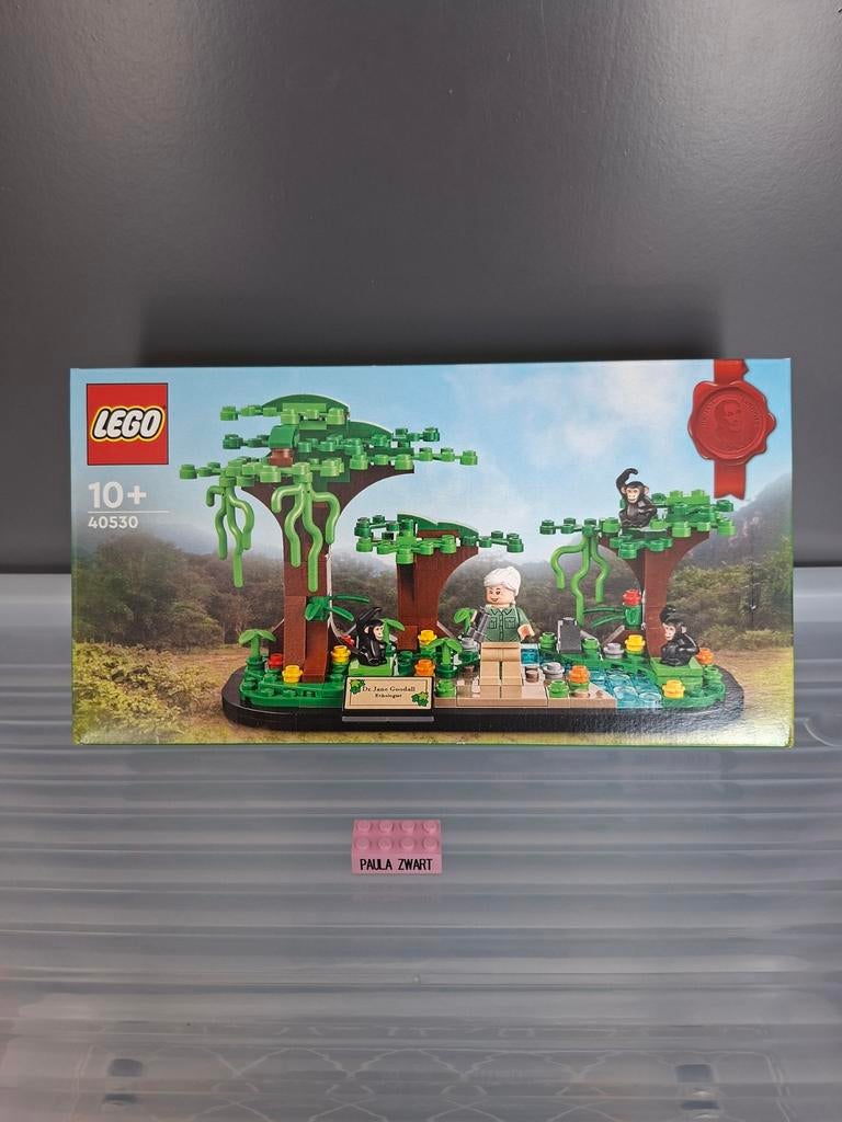 Nieuw Lego 40530 Jane Goodall Tribute, Kinderen en Baby's, Speelgoed | Duplo en Lego, Overige thema's, Lego, Nieuw, Ophalen of Verzenden