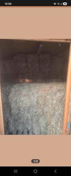 Geanalyseerd hooi laag suiker, Ophalen, Vee