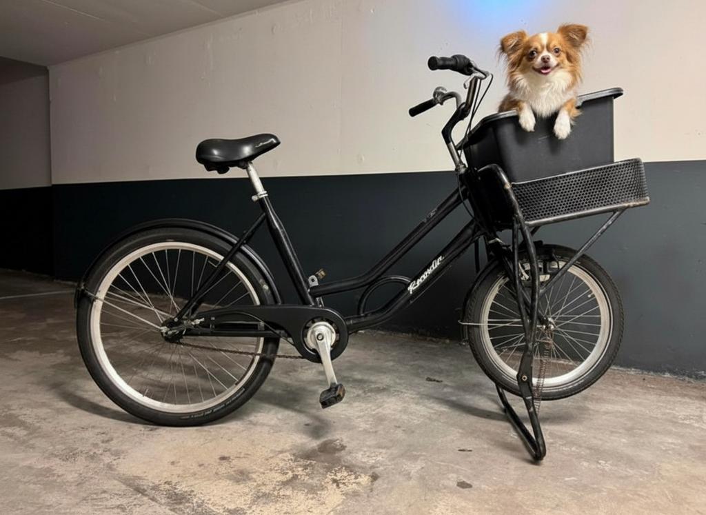 Supersterke hondenfiets bakfiets transportfiets cargobike, Fietsen en Brommers, Ophalen, Zo goed als nieuw