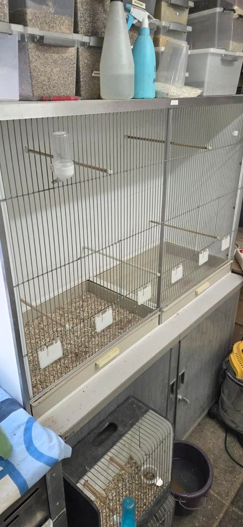 Gehu kooi, Dieren en Toebehoren, Ophalen