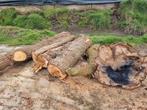 Te koop: Eiken Brandhout - Diverse maten, Tuin en Terras, Haardhout, Minder dan 3 m³, Ophalen of Verzenden, Eikenhout, Blokken