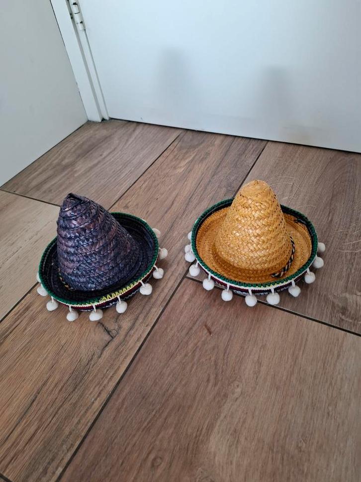 Mini Sombrero Hoedjes - Feestelijk en Leuk!, Hobby en Vrije tijd, Feestartikelen, Ophalen of Verzenden