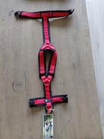 Honden tuigje, Ophalen, Nieuw