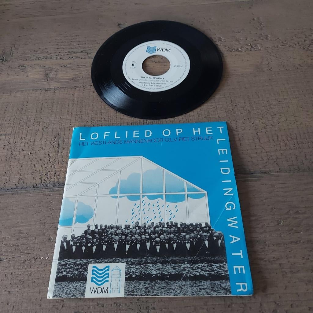 Loflied op het leidingwater - Westlands Mannenkoor, Ophalen of Verzenden, Zo goed als nieuw, Overige formaten, Levenslied of Smartlap