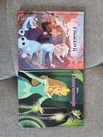 Disney Frozen II en Doornroosje boeken, Boeken, Ophalen of Verzenden