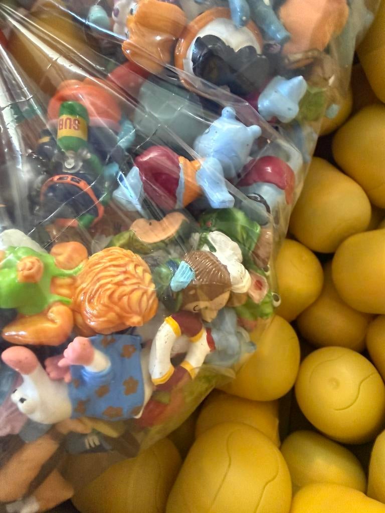 Kinder surprise ferrero, Ophalen of Verzenden, Hardplasticfiguren