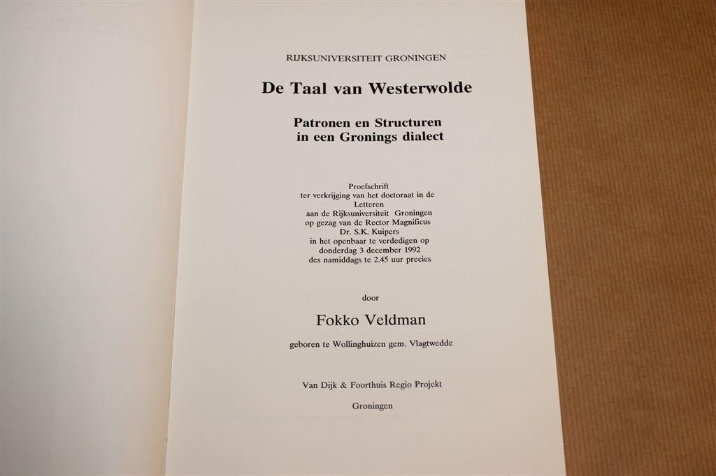 De Taal van Westerwolde — Gronings Dialect Naslagwerk 318p, Boeken, Ophalen of Verzenden, Gelezen
