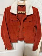 Trendy Corduroy Jas met Teddy Kraag - Oranje, Kleding | Dames, Jassen | Winter, Ophalen of Verzenden, Zo goed als nieuw, Maat 38/40 (M)
