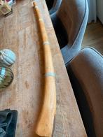 Midwinterhoorn, Muziek en Instrumenten, Blaasinstrumenten | Hoorns, Ophalen of Verzenden, Gebruikt