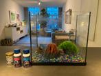 Vissenkom met filter, Dieren en Toebehoren, Vissen | Aquaria en Toebehoren, Ophalen, Gebruikt, Leeg aquarium