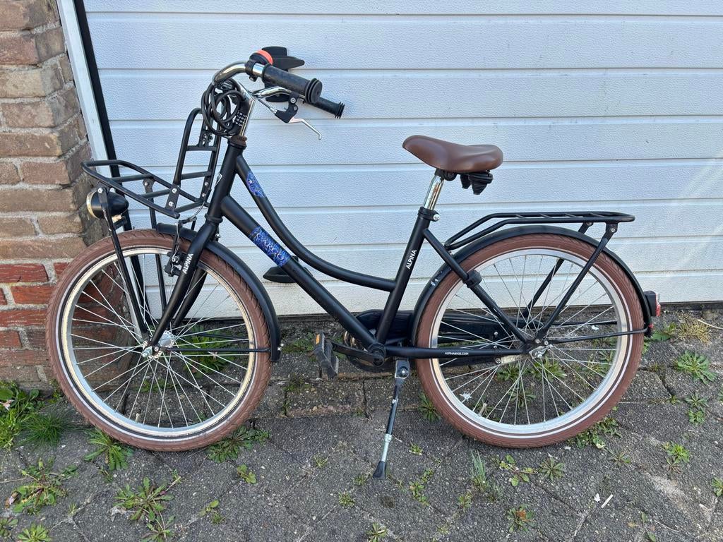 Alpina fiets met voordrager en terugtraprem, Terugtraprem, Gebruikt, 50 tot 53 cm, Ophalen